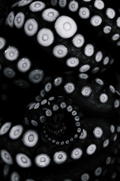 Archillect ID 84529