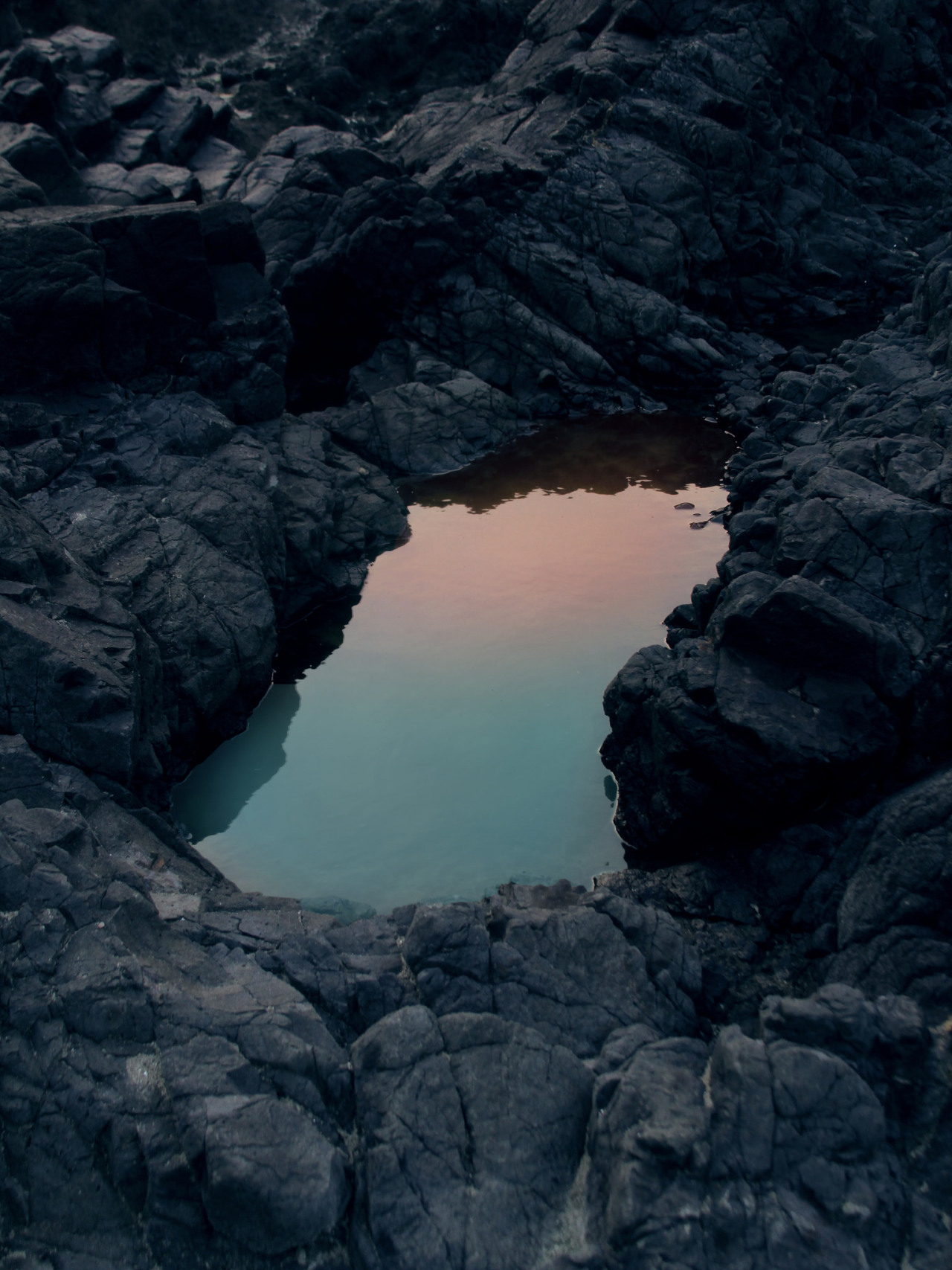 Archillect ID 84603