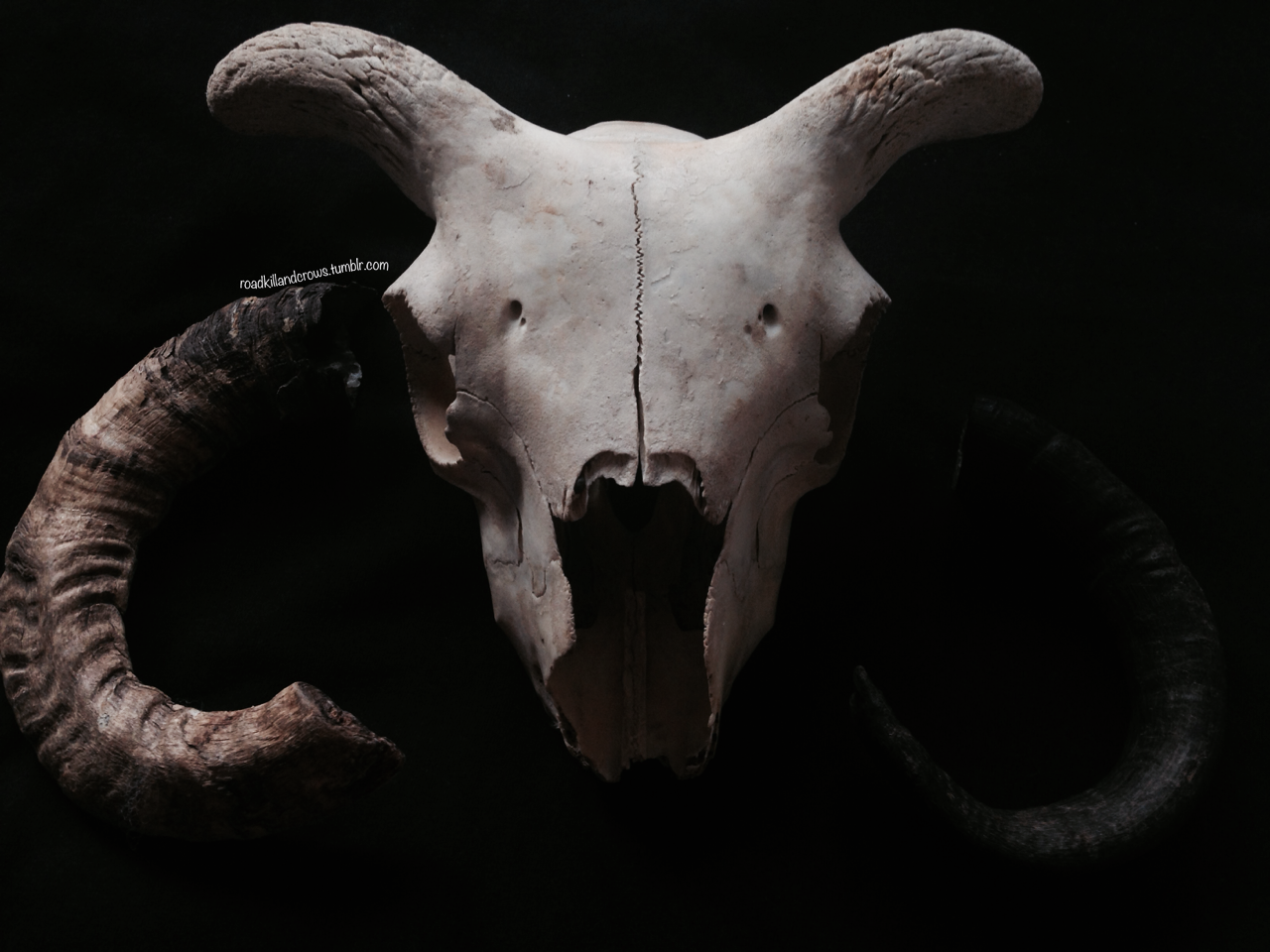 Archillect ID 84825