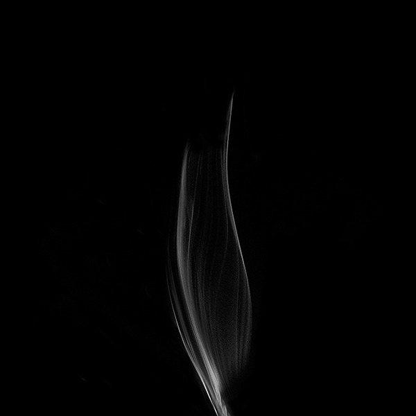 Archillect ID 84874