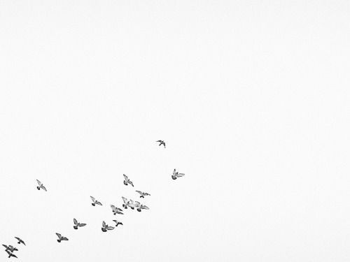 Archillect ID 84930
