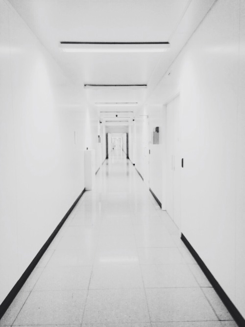 Archillect ID 84941