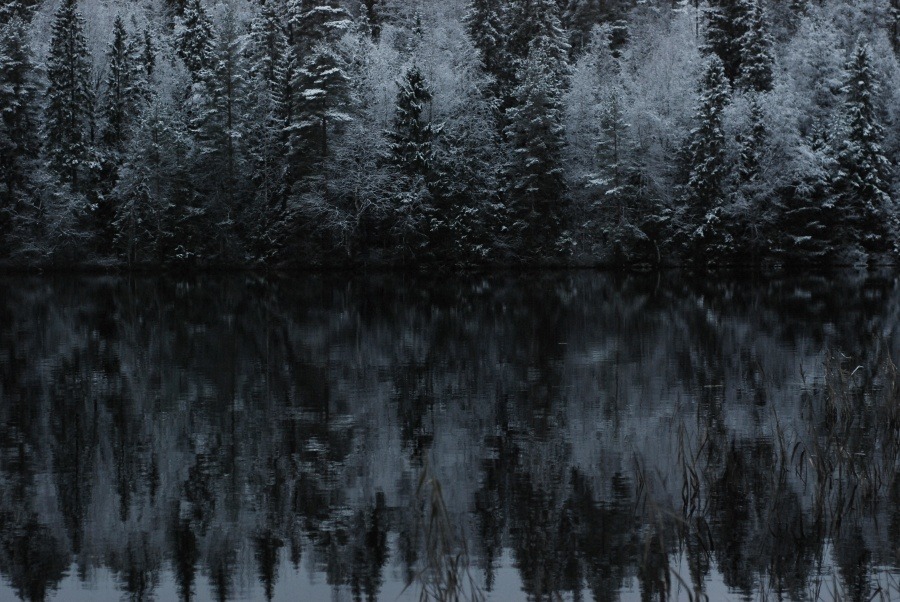 Archillect ID 85062