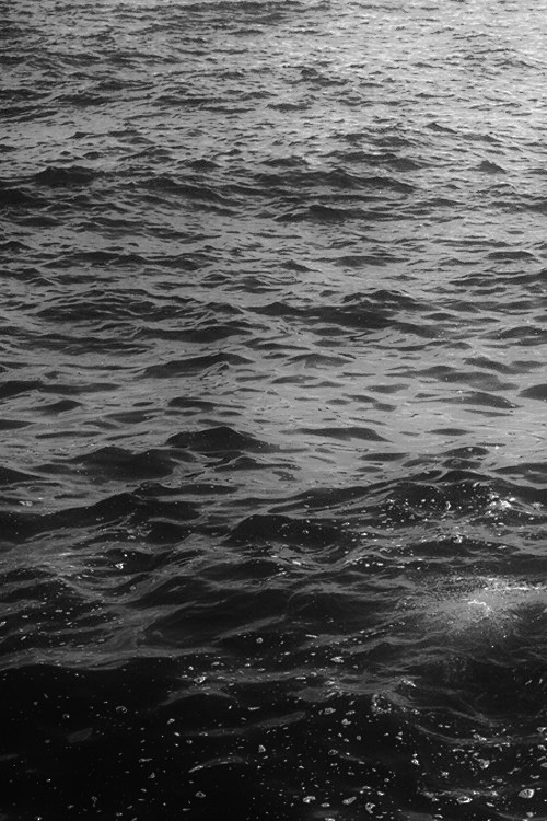 Archillect ID 85131