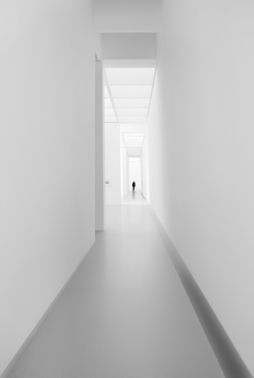 Archillect ID 85281