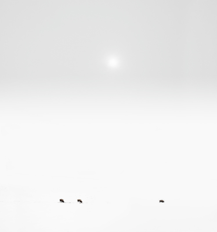Archillect ID 85331