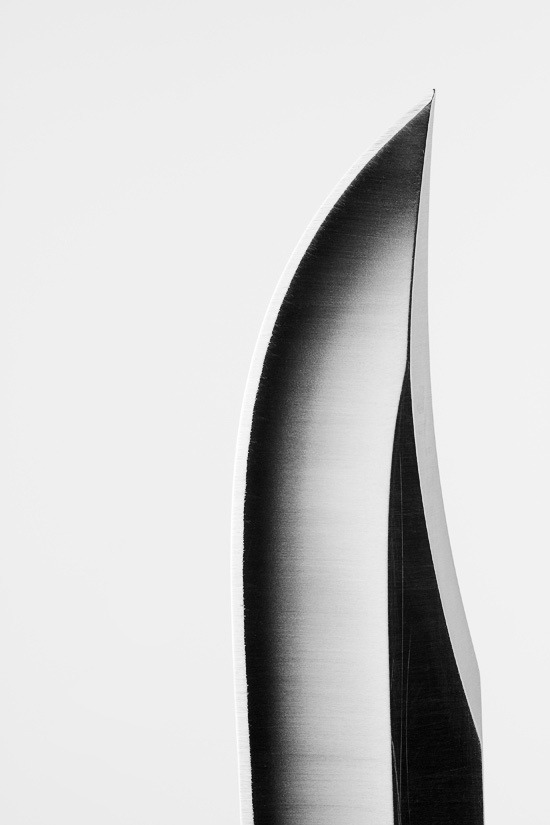 Archillect ID 85401