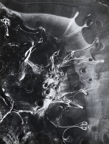 Archillect ID 85425