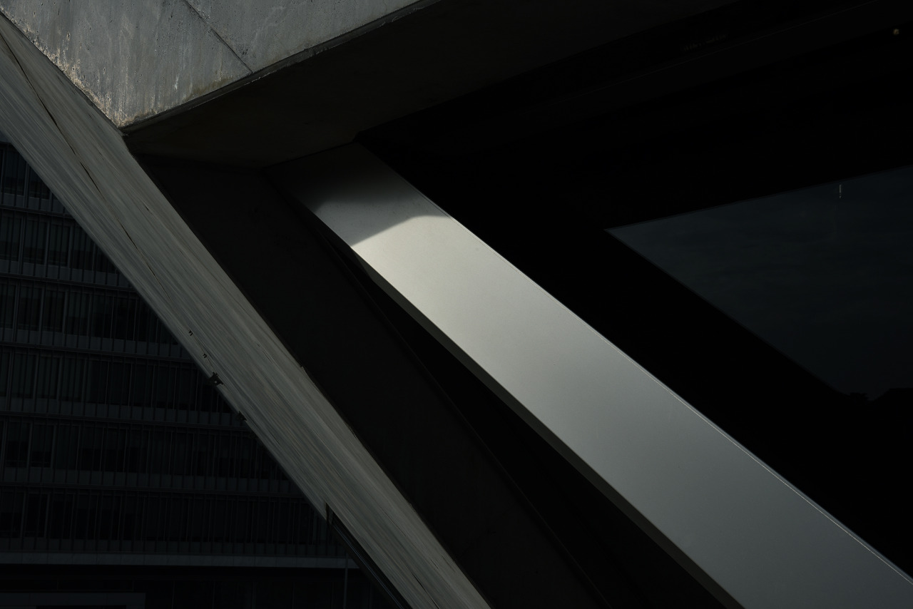 Archillect ID 85572