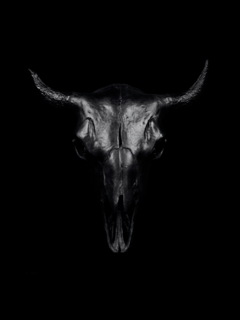 Archillect ID 85679