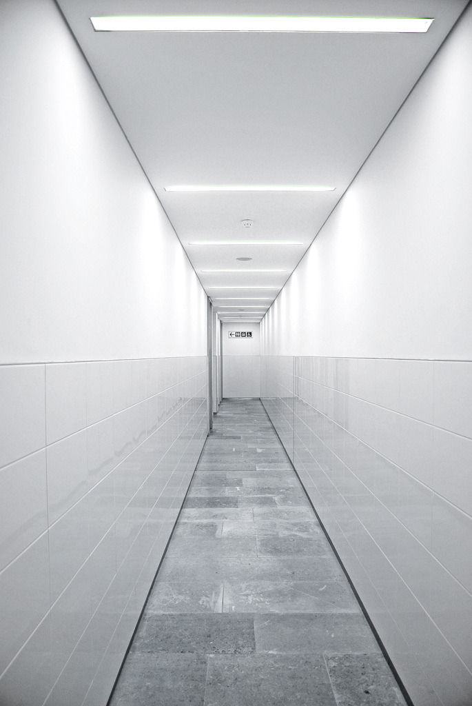 Archillect ID 85743