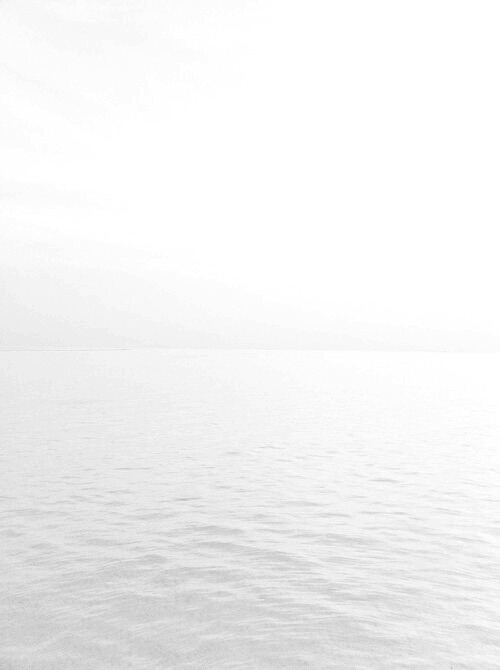 Archillect ID 85770