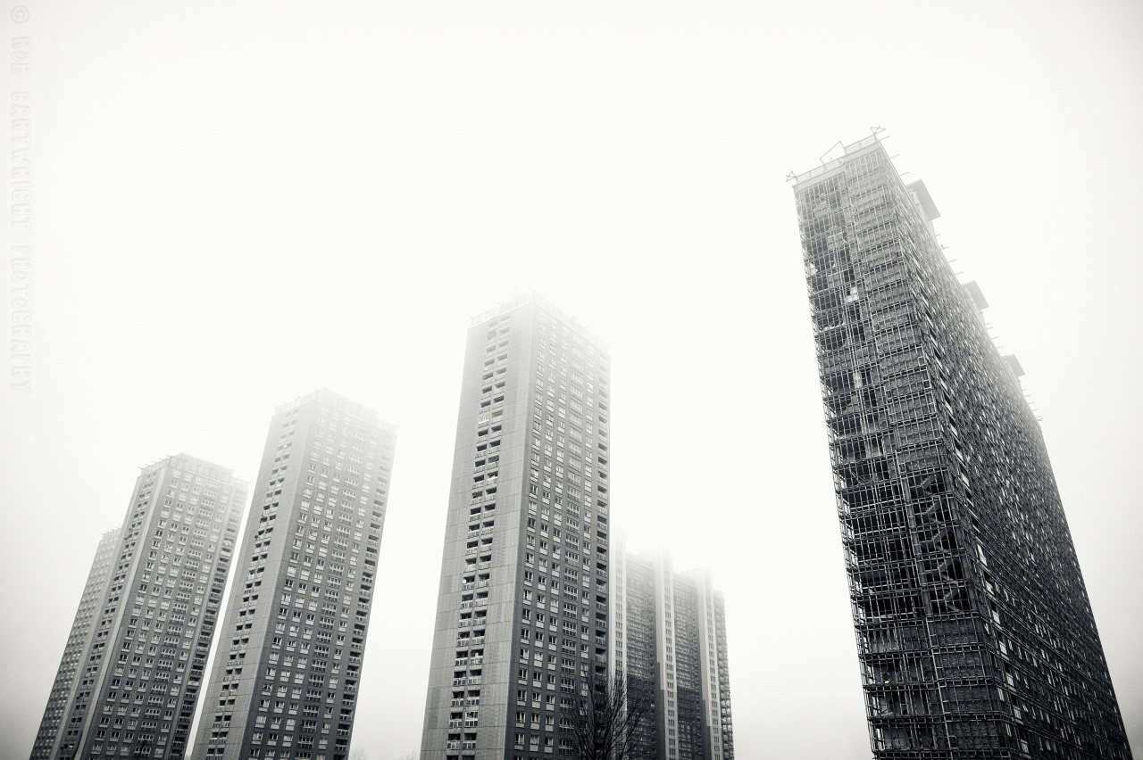 Archillect ID 85880
