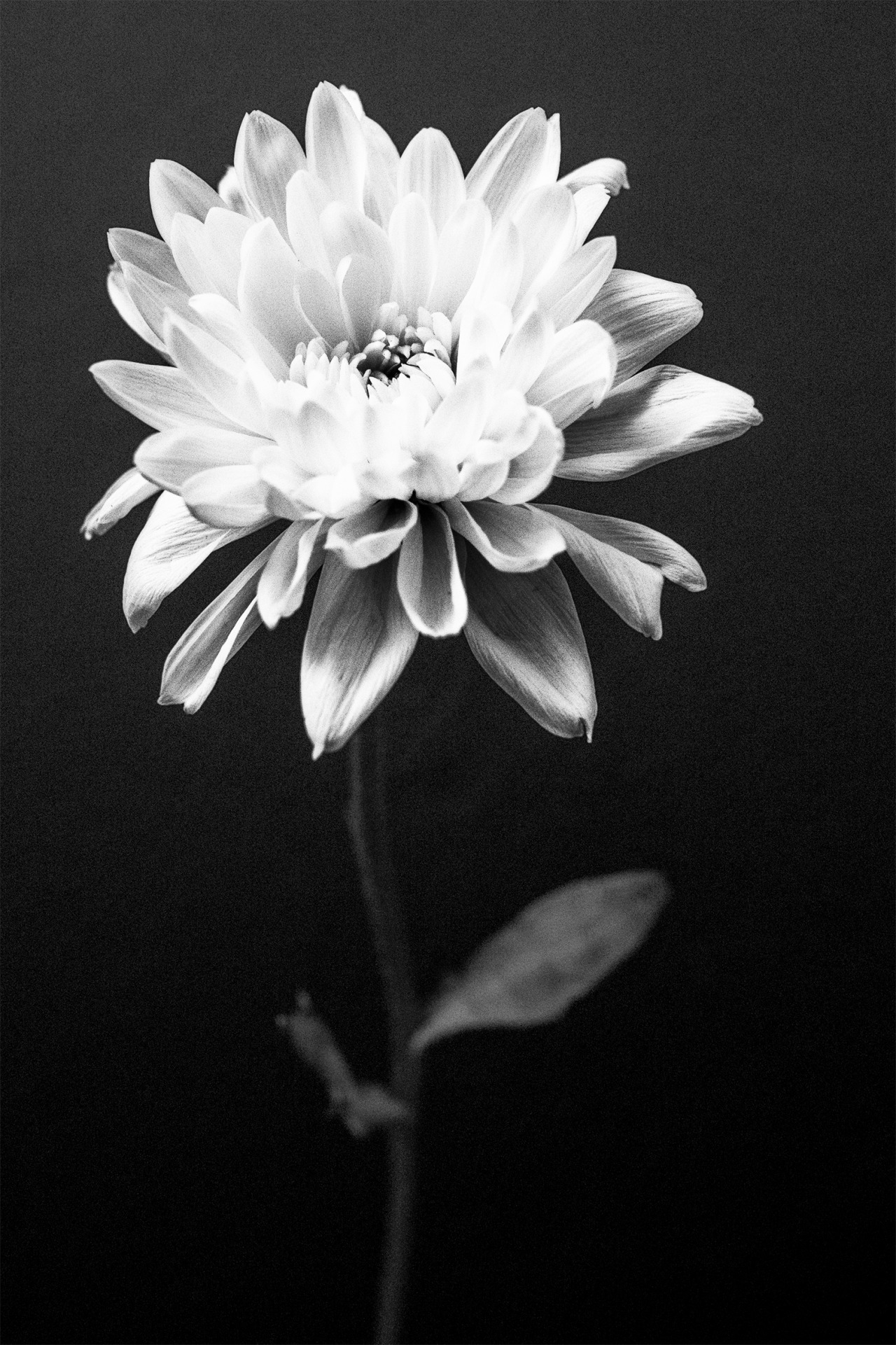 Archillect ID 85926