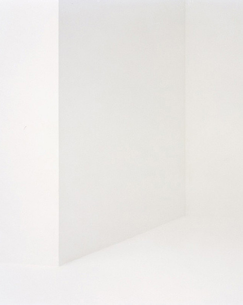 Archillect ID 85950