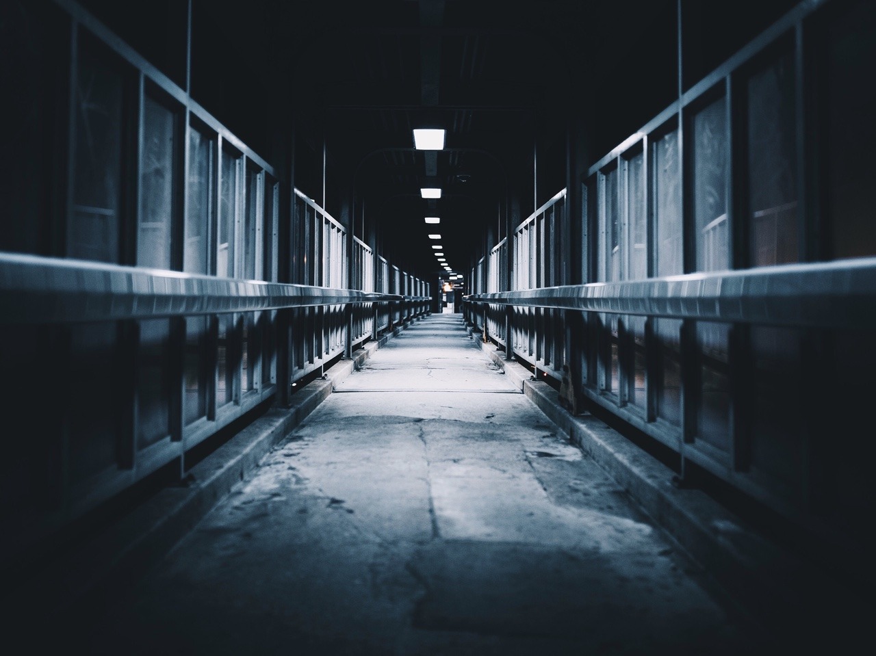 Archillect ID 86043