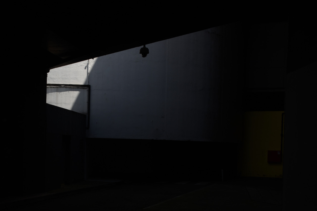 Archillect ID 86051