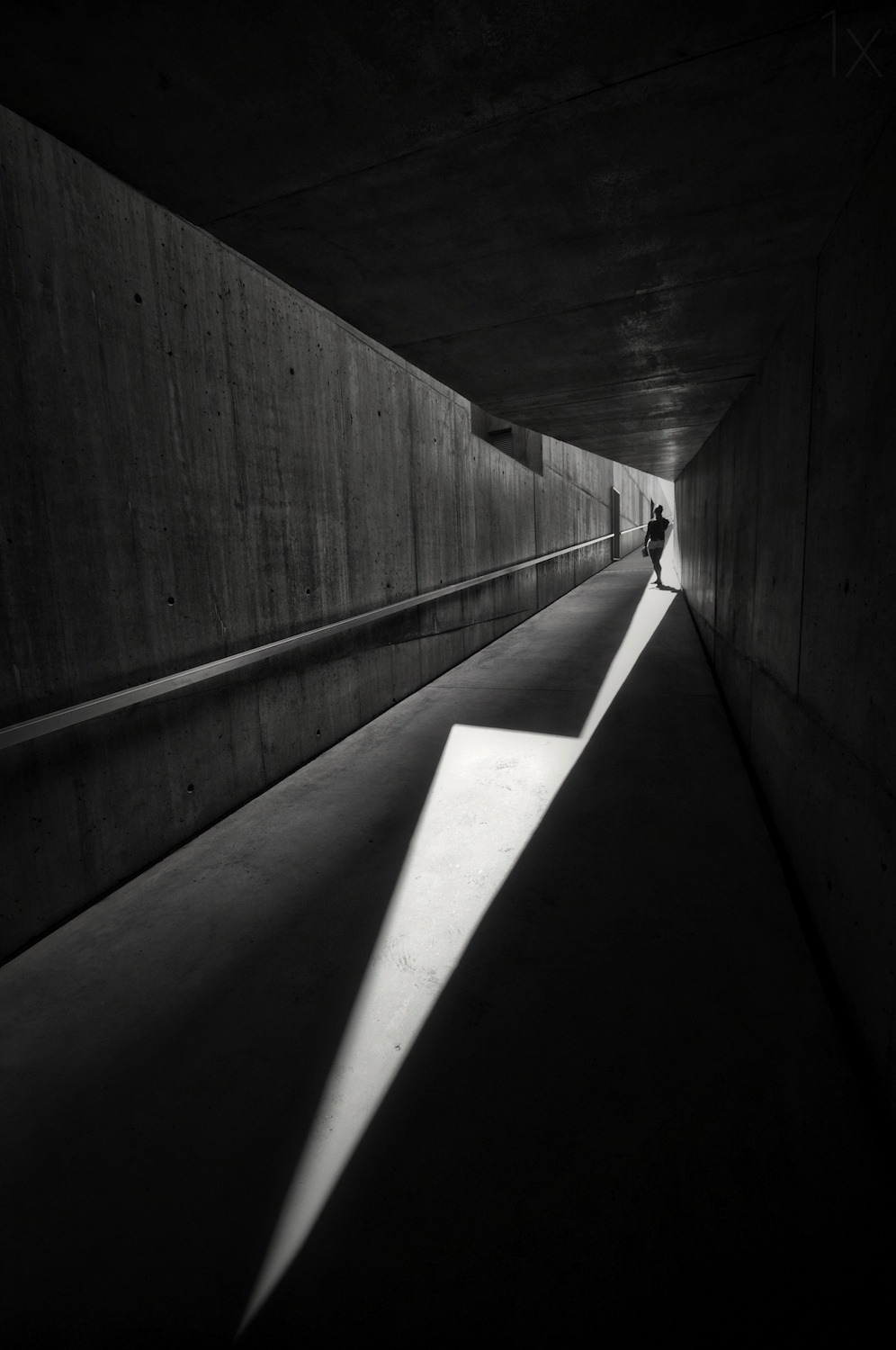 Archillect ID 86247