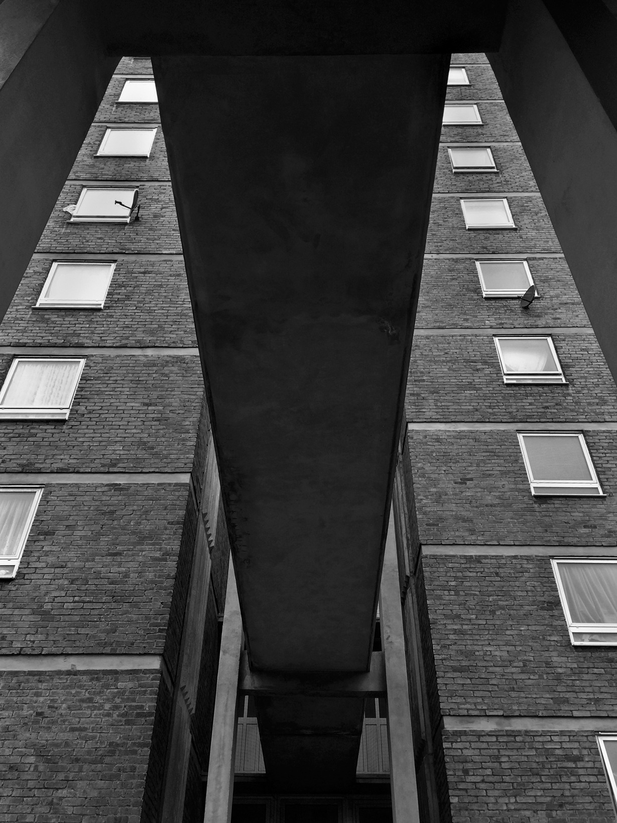 Archillect ID 86257