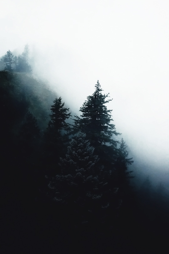 Archillect ID 86313