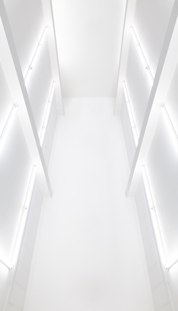 Archillect ID 86375