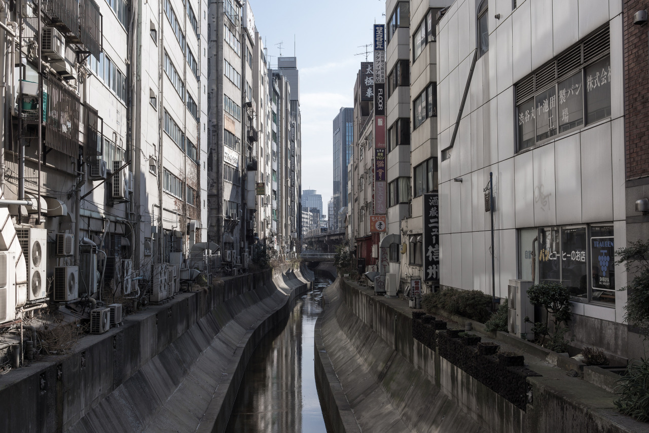 Archillect ID 86418