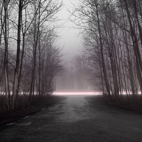 Archillect ID 86447