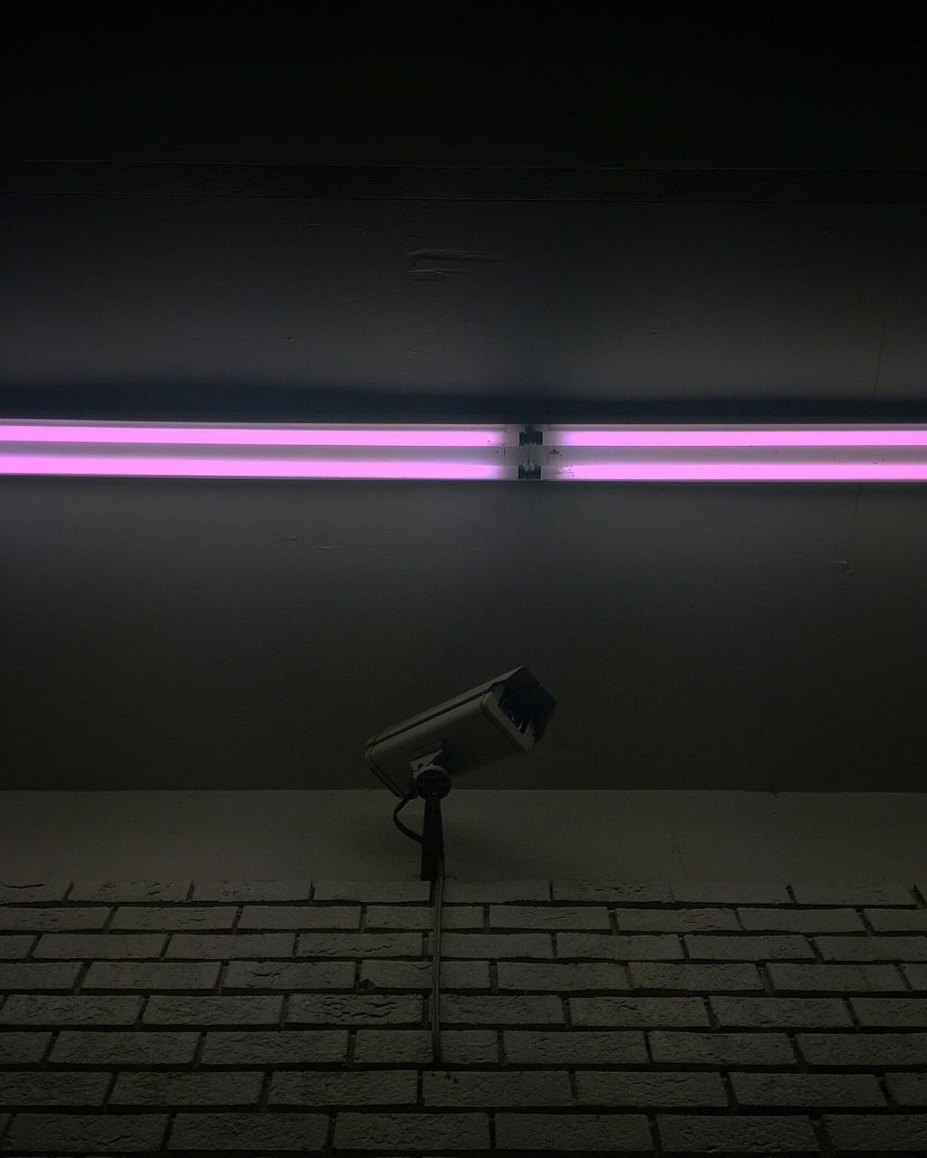 Archillect ID 86491