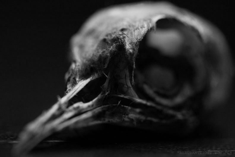 Archillect ID 86497