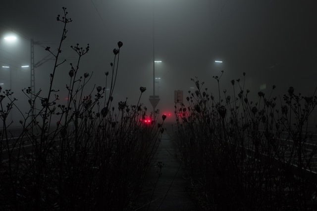 Archillect ID 86543