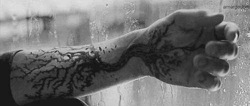 Archillect ID 86555