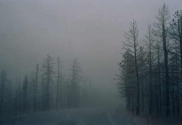 Archillect ID 86626