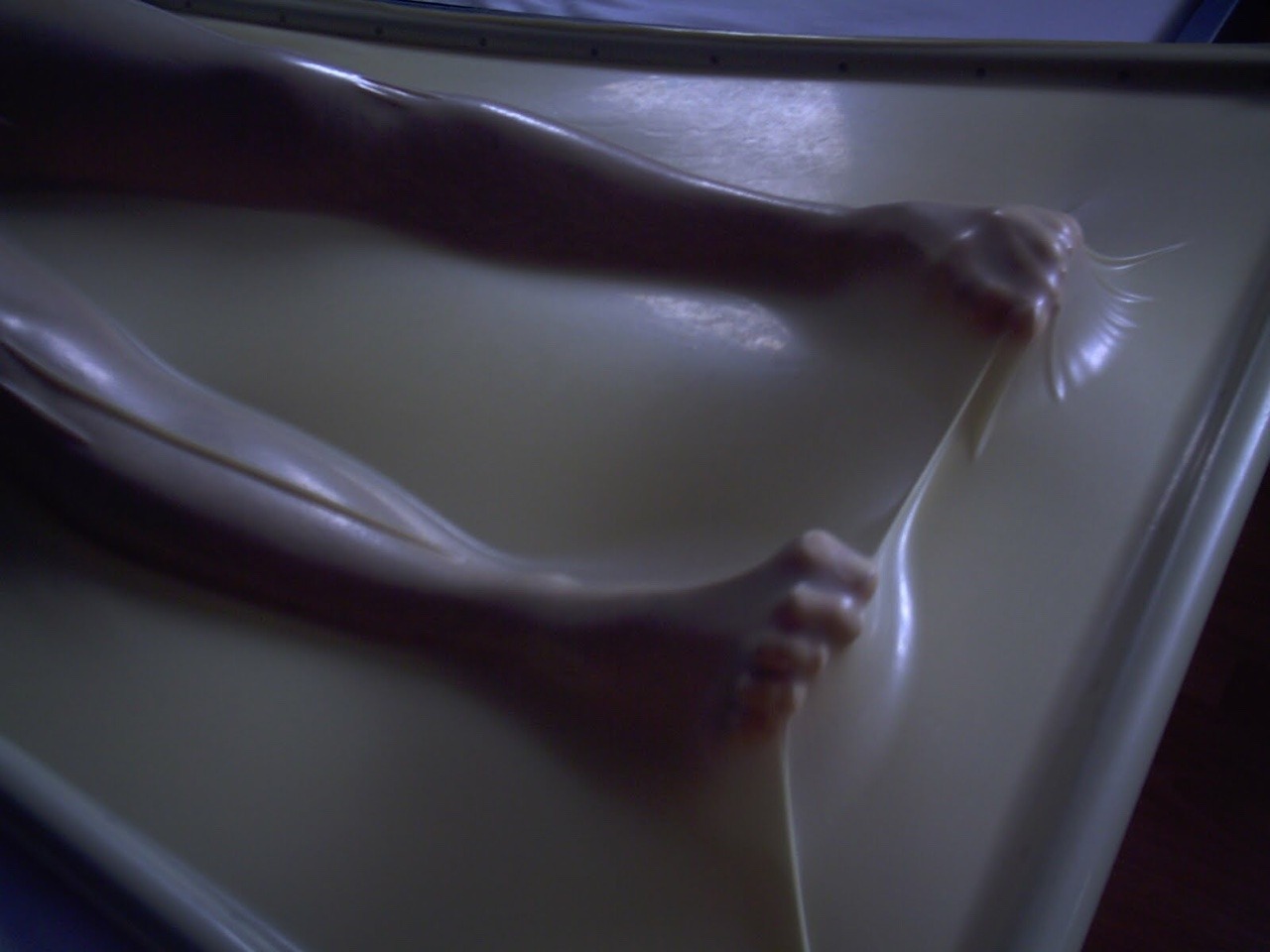 Archillect ID 86641