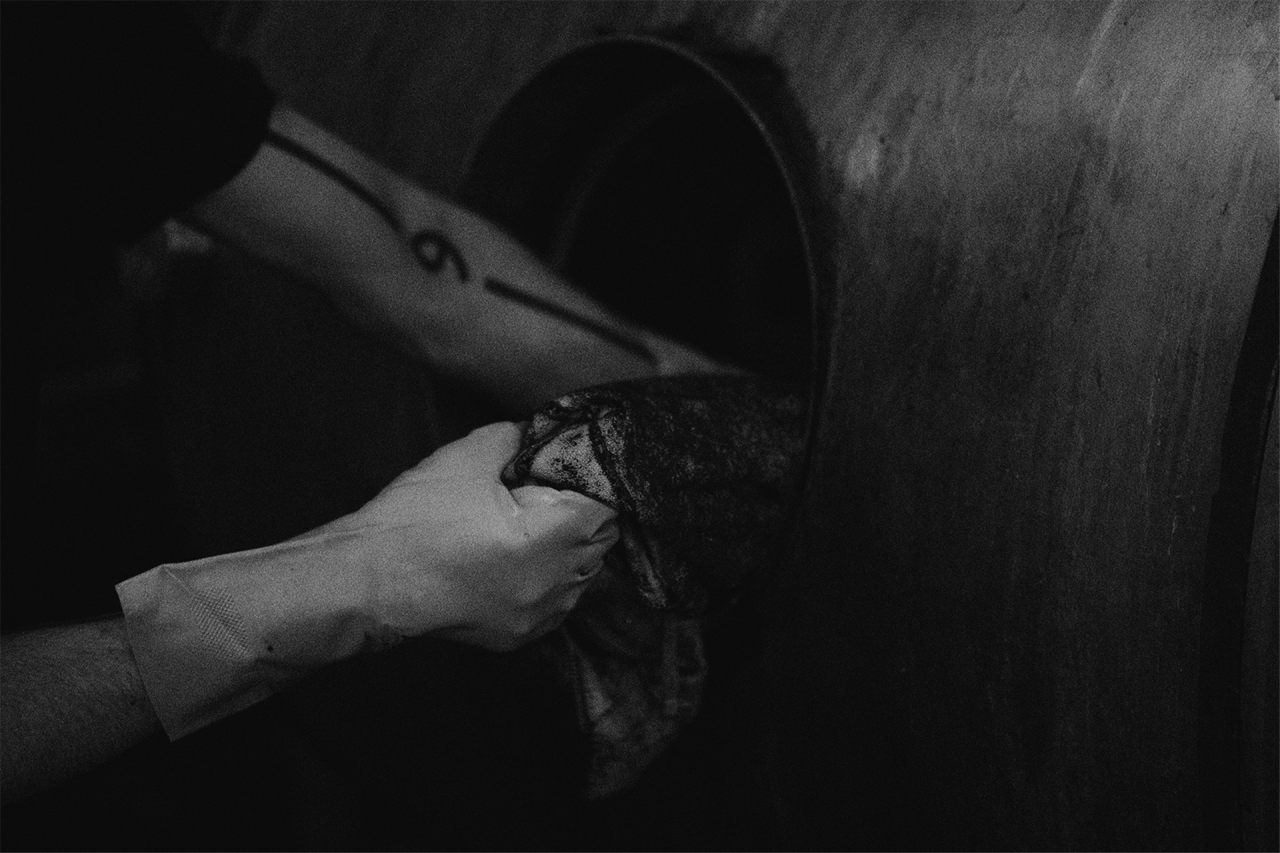 Archillect ID 86680