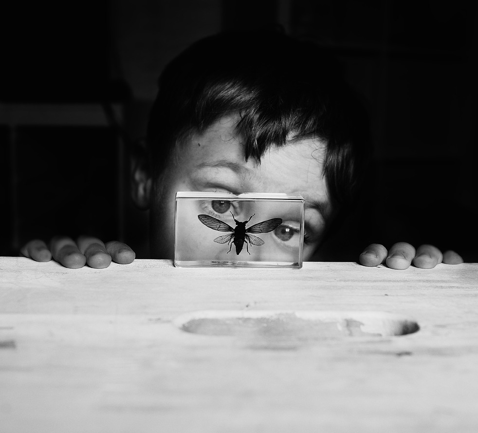 Archillect ID 86725