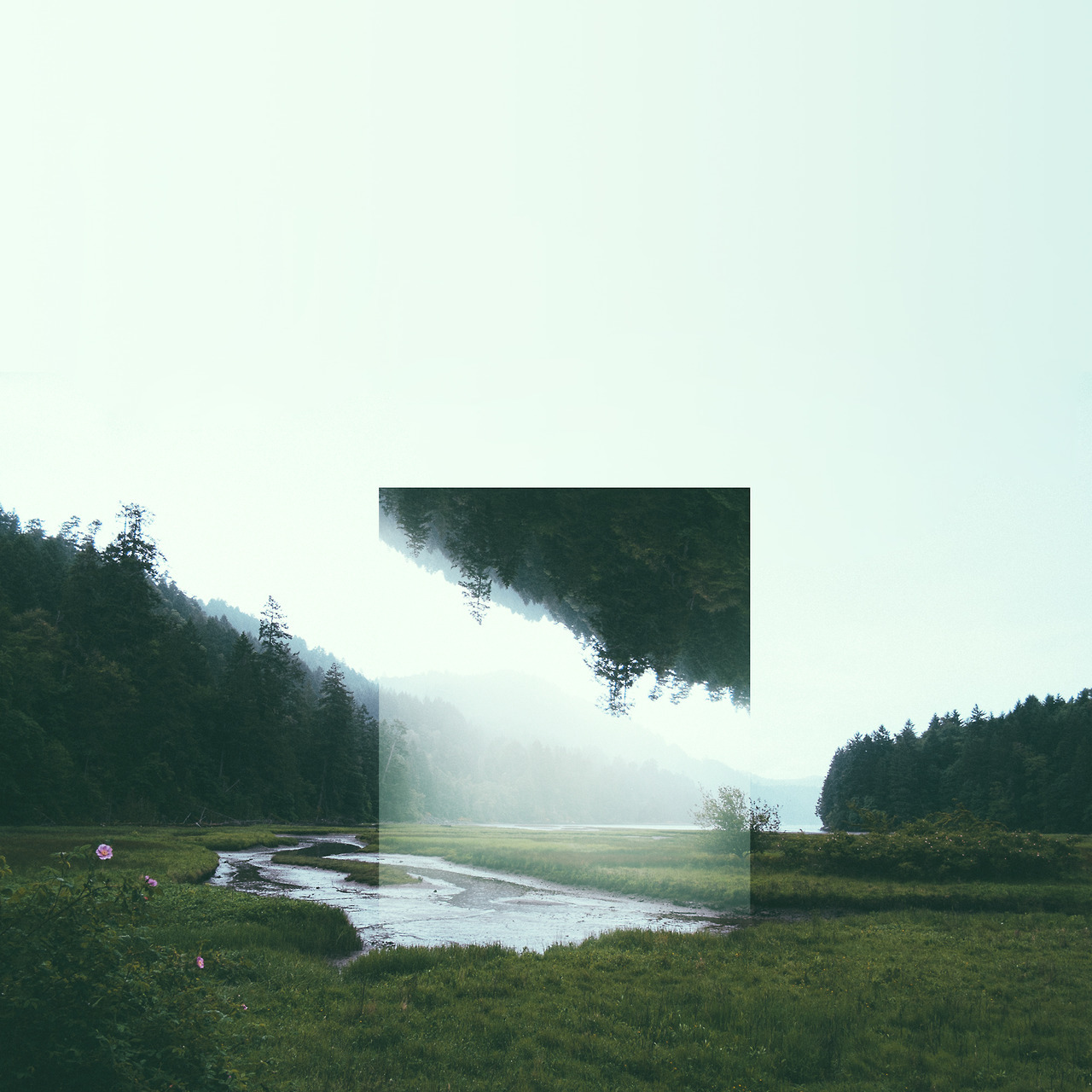 Archillect ID 86754