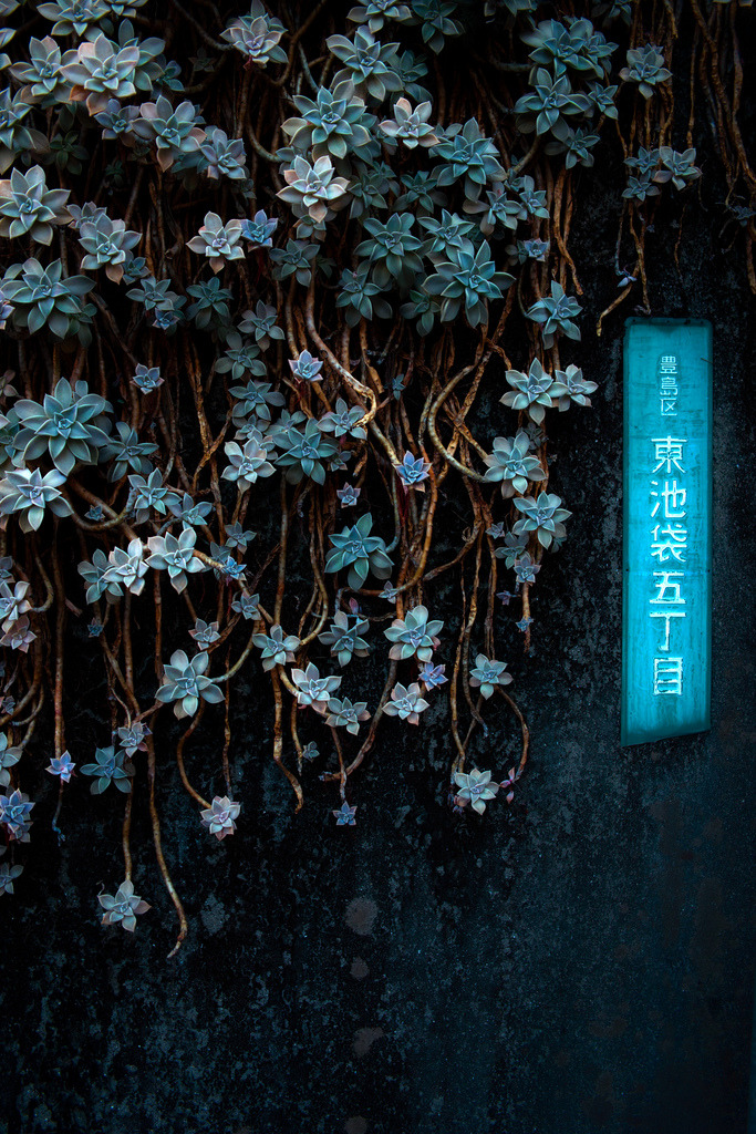 Archillect ID 86912