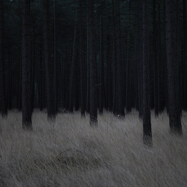Archillect ID 87254