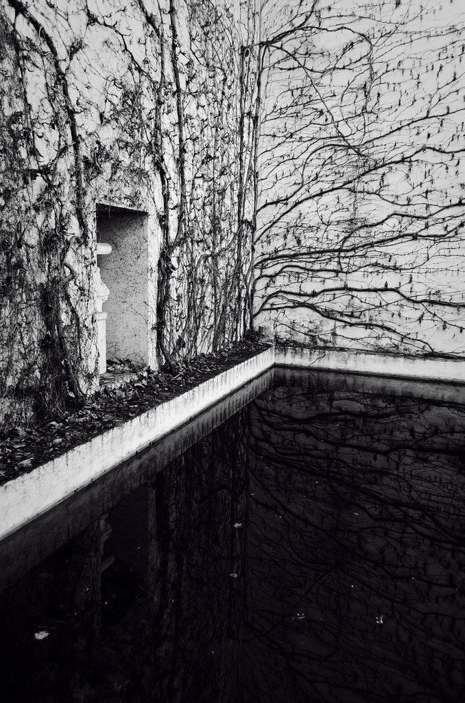 Archillect ID 87336