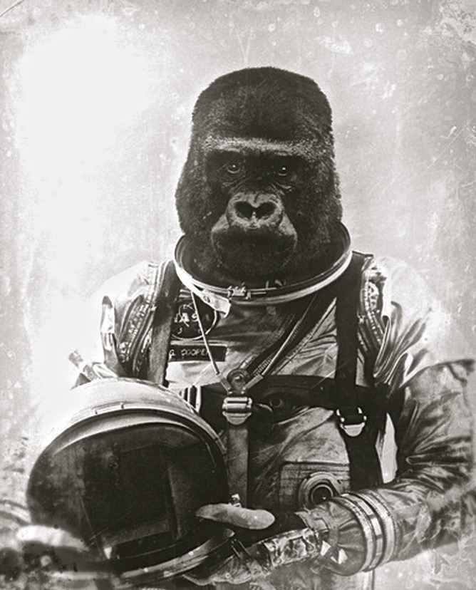 Archillect ID 87567