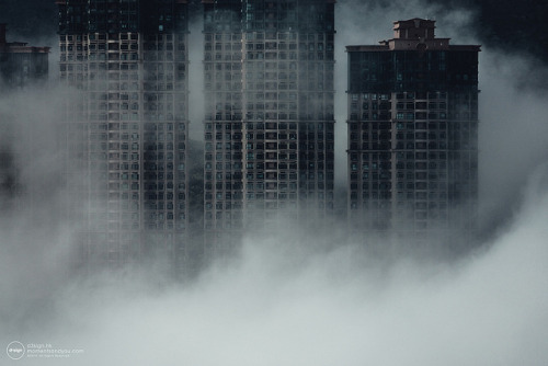 Archillect ID 87669