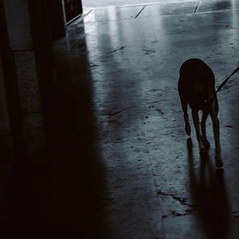 Archillect ID 87837