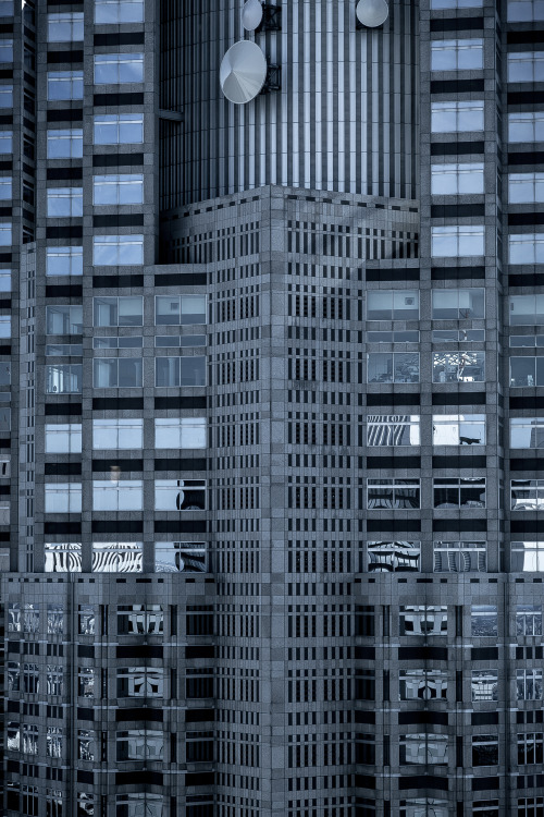 Archillect ID 87938