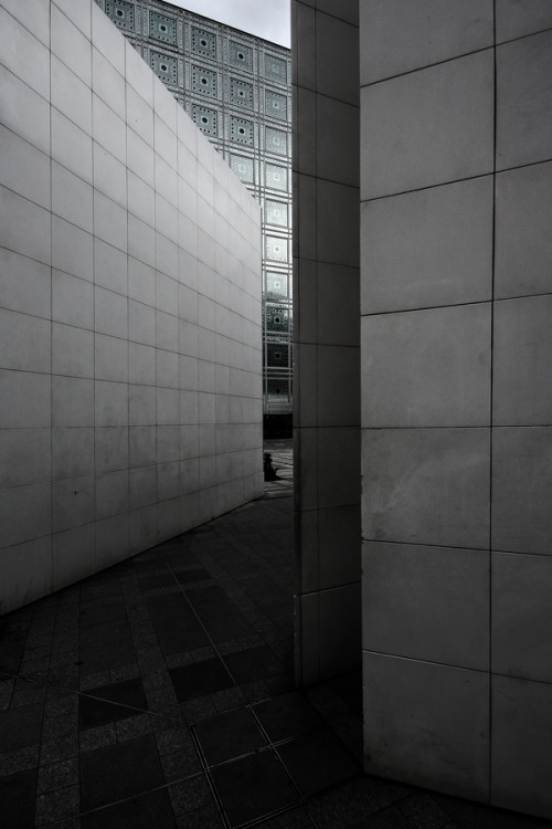 Archillect ID 88002