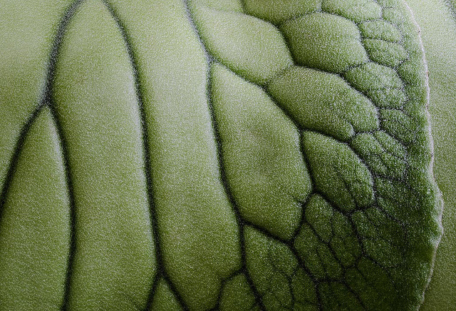 Archillect ID 88006