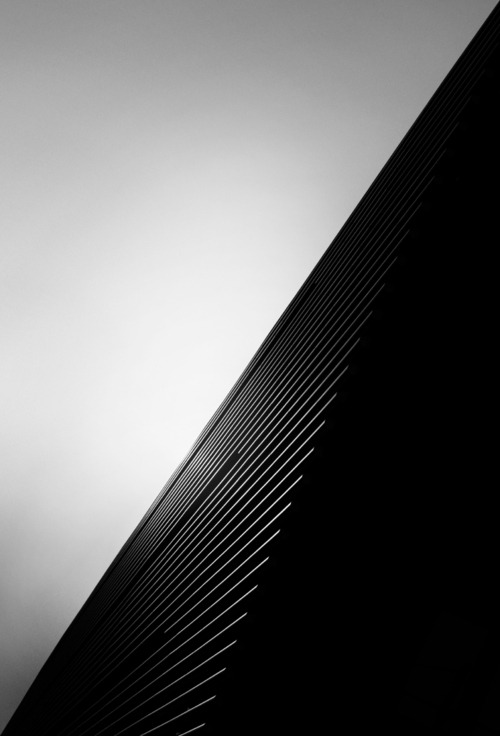 Archillect ID 88014