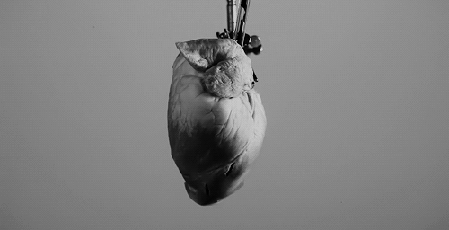 Archillect ID 88068