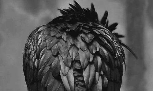 Archillect ID 88088