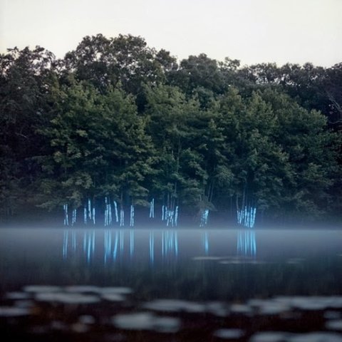 Archillect ID 88124