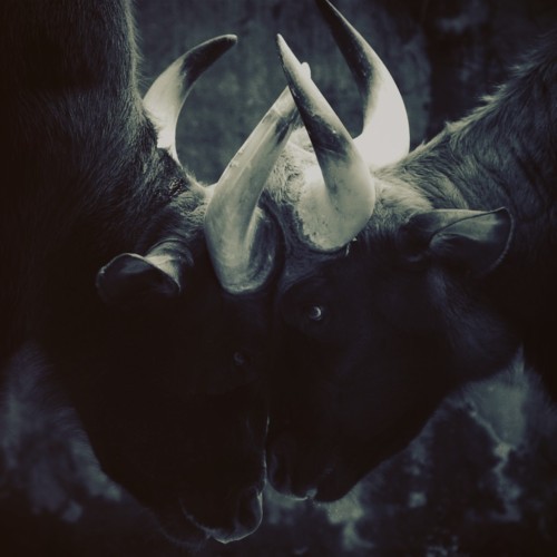 Archillect ID 88139